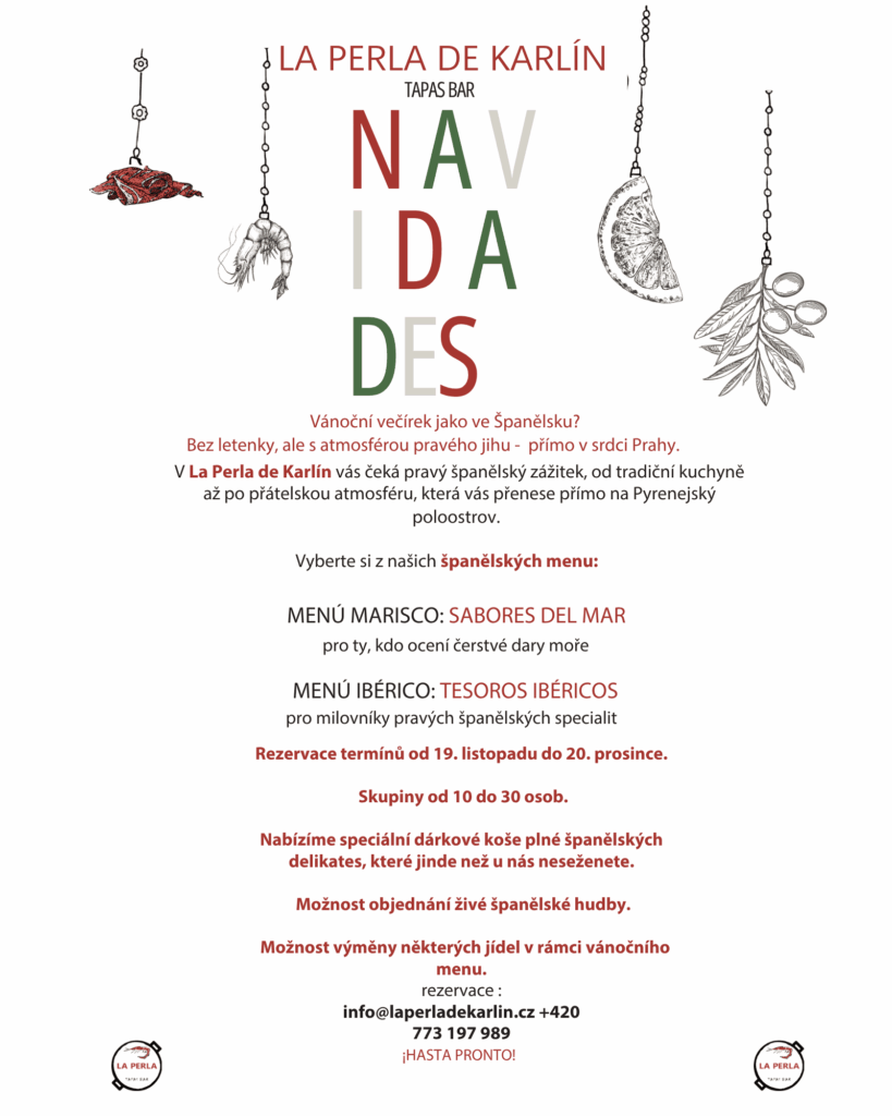 Vánoční večírek 1